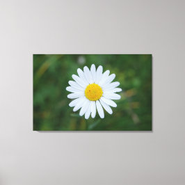 Leinwand