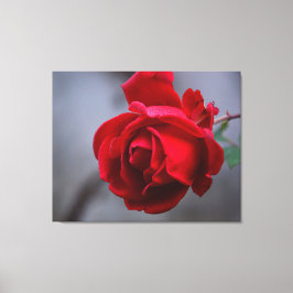 Leinwand an der Wand