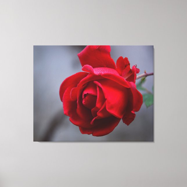 Leinwand an der Wand (Vorderseite)