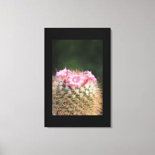 Leinwand Art-Cactus