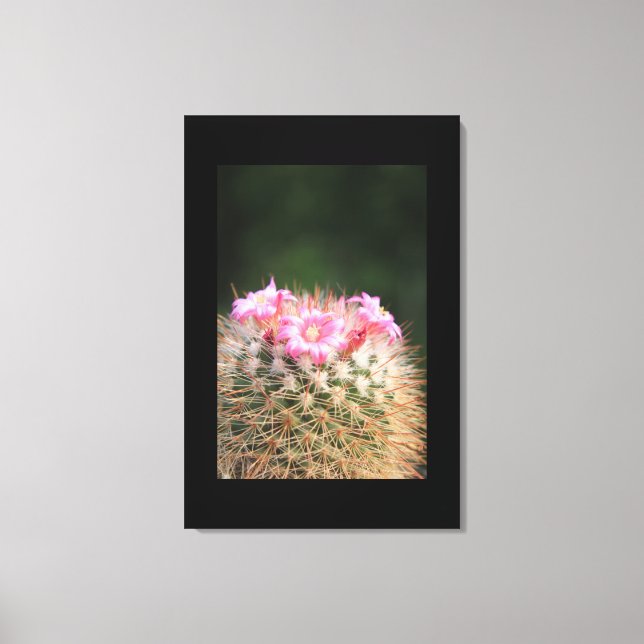 Leinwand Art-Cactus (Vorderseite)