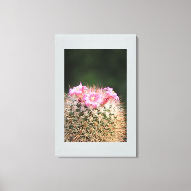 Leinwand Art-Cactus (Vorderseite)