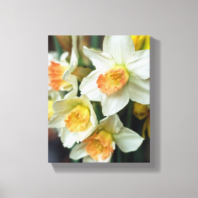 Leinwand Art-Daffodils (Vorderseite)