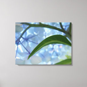 Leinwand Art druckt Blue Floral Hydrangea Blume