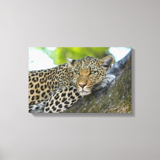 Leinwand Art-Leopard (Vorderseite)