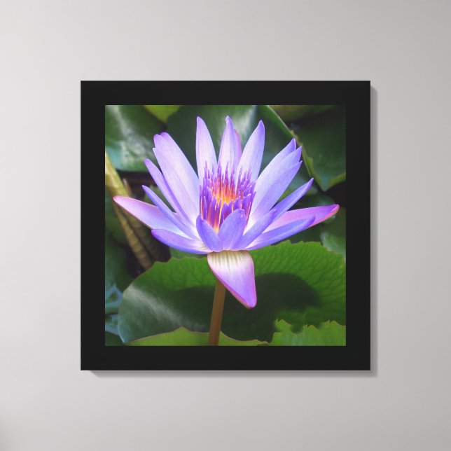Leinwand Art-Lotus Blume (Vorderseite)