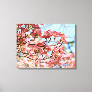 Leinwand Art Panels Rosa Dogwood Bäume Natur