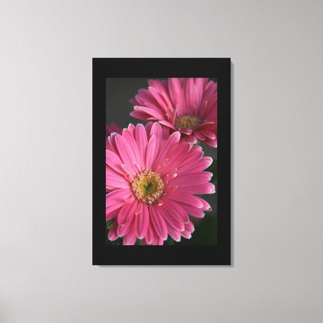 Leinwand Art-Pink Daisies (Vorderseite)