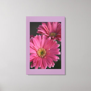 Leinwand Art-Pink Daisies