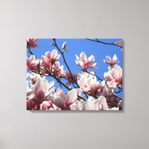 Leinwand Art-Pink Magnolia