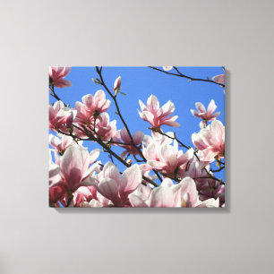 Leinwand Art-Pink Magnolia