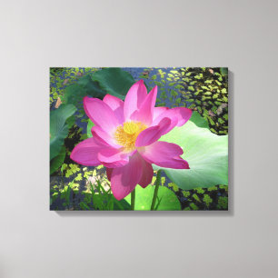 Leinwand Art-Pink Wasserlilie