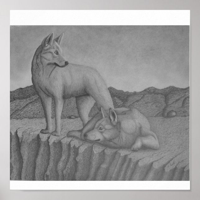 Leinwand Art Print. Dingos auch (warrigal) wolfähn Poster (Vorne)
