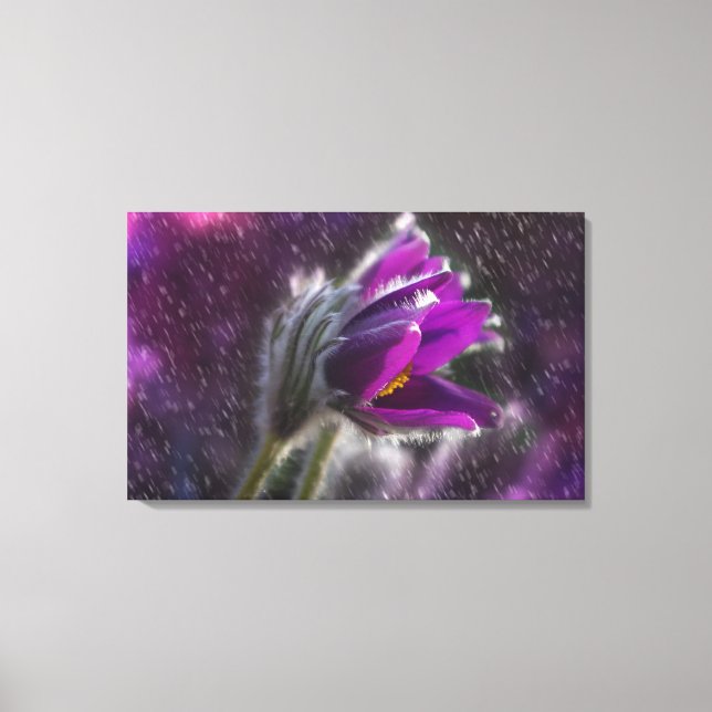 Leinwand Art Print - Frühlingsduschen (Vorderseite)