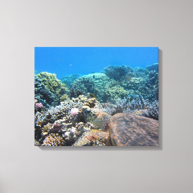 Leinwand Art-Sea-Schildkröte (Vorderseite)