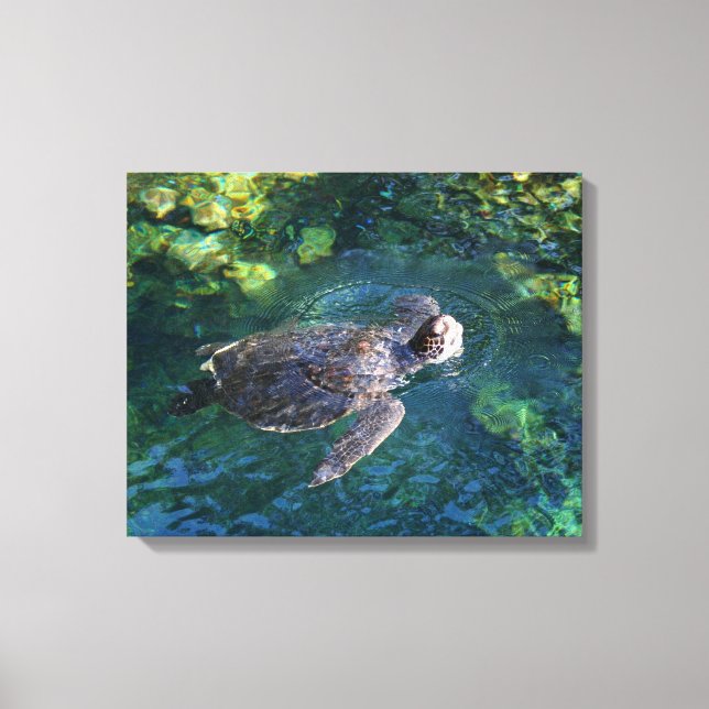 Leinwand Art-Sea-Schildkröte (Vorderseite)