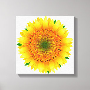 Leinwand Art-Sunflower
