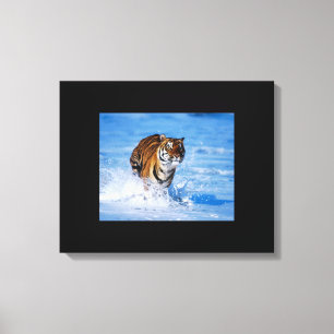 Leinwand Art-Tiger