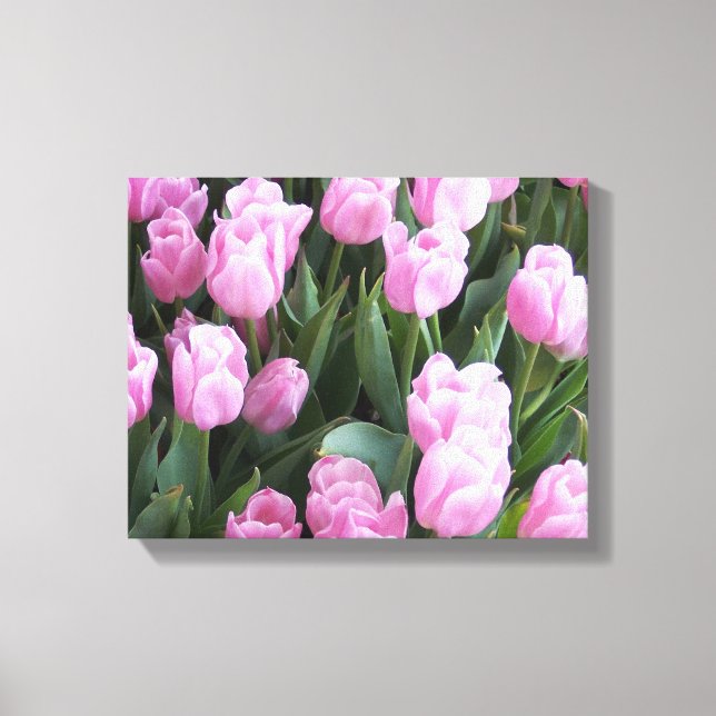Leinwand Art Tulip (Vorderseite)