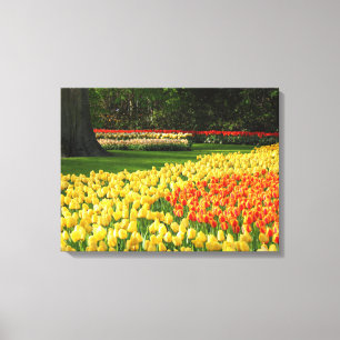 Leinwand Art-Tulips