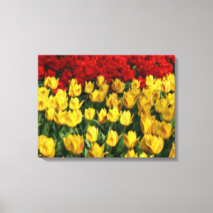 Leinwand Art-Tulips