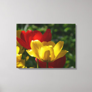 Leinwand Art-Tulips