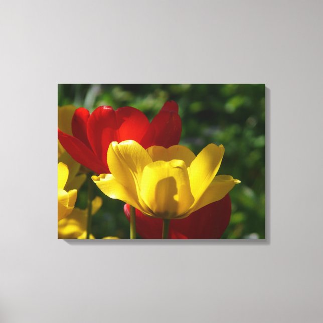 Leinwand Art-Tulips (Vorderseite)