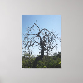 LEINWAND ART UND DESIGN STIL