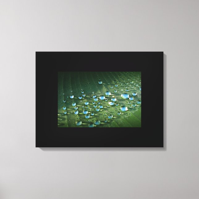Leinwand Art-Water-Droplets (Vorderseite)