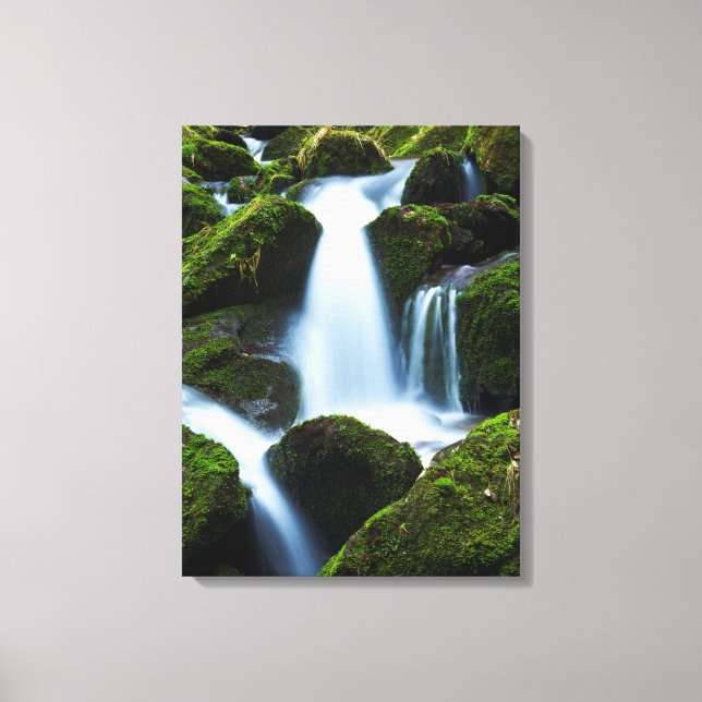 Leinwand Art-Waterfall (Vorderseite)