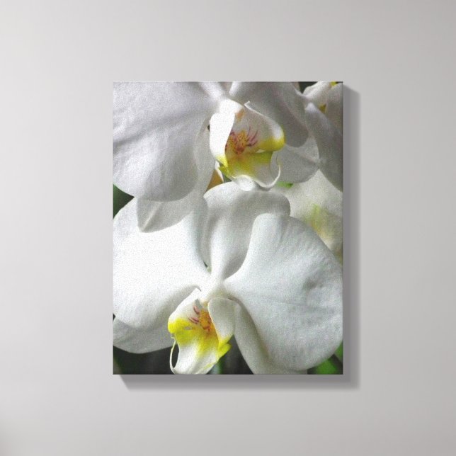 Leinwand Art-White Orchids (Vorderseite)