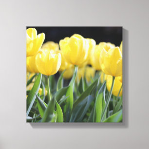 Leinwand Art-Yellow Tulips