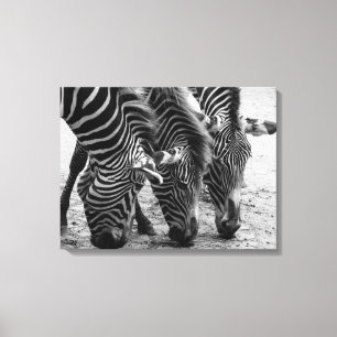 Leinwand Art-Zebras