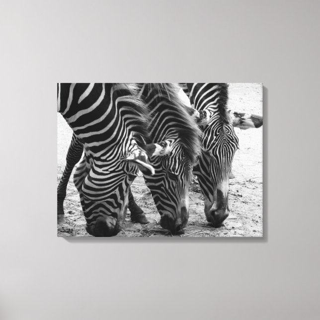 Leinwand Art-Zebras (Vorderseite)