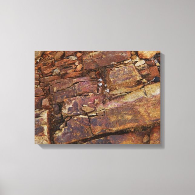 Leinwand aus felsigem Anblick (Vorderseite)