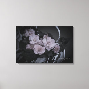 Leinwand Begonias on Bench Garden