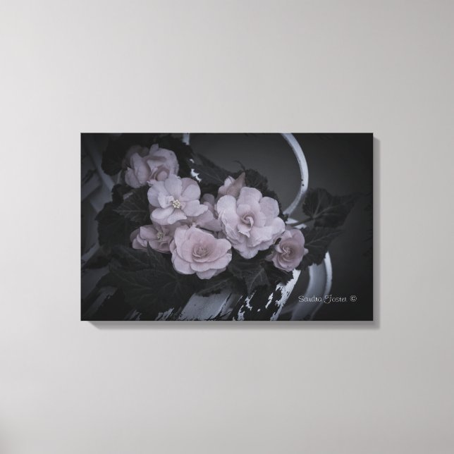 Leinwand Begonias on Bench Garden (Vorderseite)