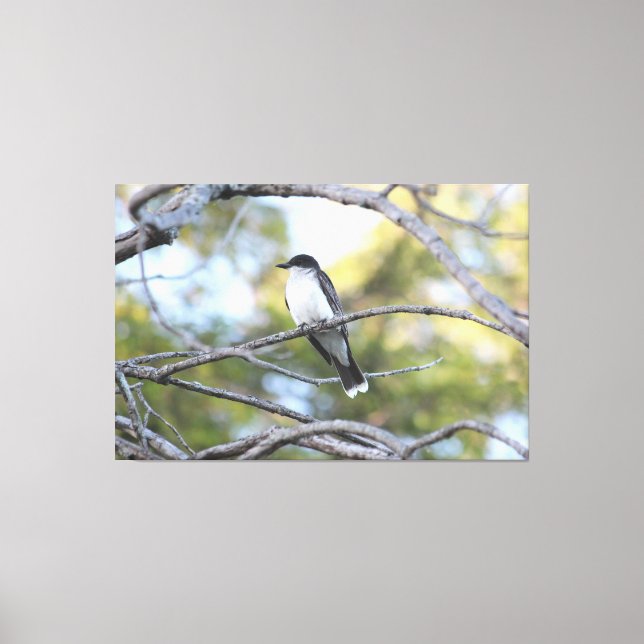 Leinwand Bird Art Print (Vorderseite)