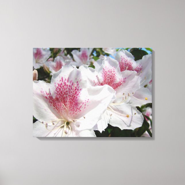 Leinwand Dekorative Kunst Rosa Blume (Vorderseite)