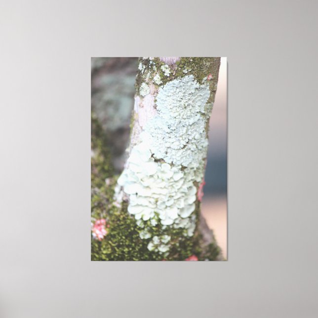 Leinwand der farbenfrohen Natur (Vorderseite)