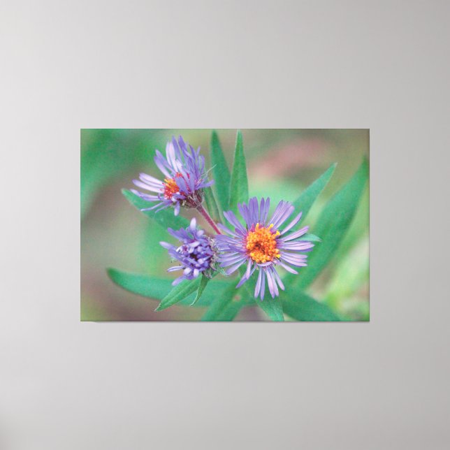 Leinwand der lila Wildblume Kunst (Vorderseite)