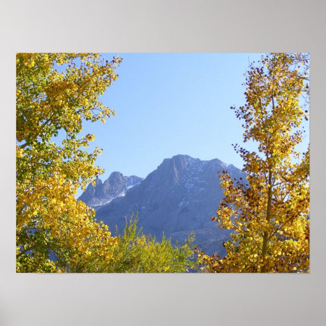 Leinwand der Natur Poster (Vorne)