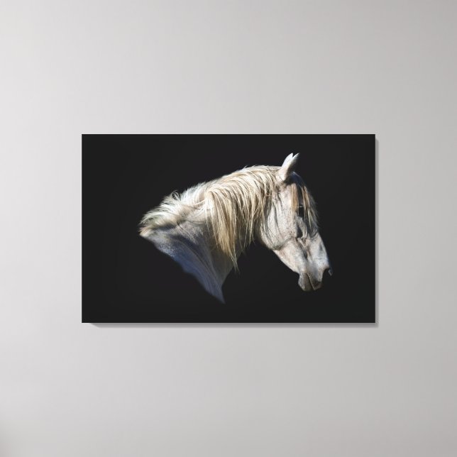 Leinwand des Fotos "White Horse Lover" (Vorderseite)