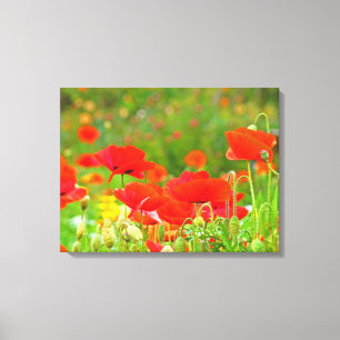 Leinwand-Fine-Art-Drucke Florale Rote Mohnblumen B Leinwanddruck