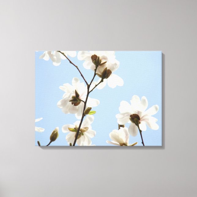 Leinwand Flora Magnolia Tree Kunstdrucke (Vorderseite)