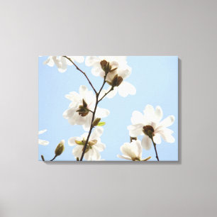 Leinwand Flora Magnolia Tree Kunstdrucke