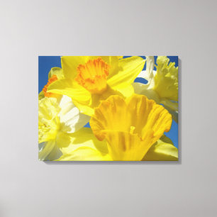 Leinwand Fotografieren Daffodische Blume Blumendru