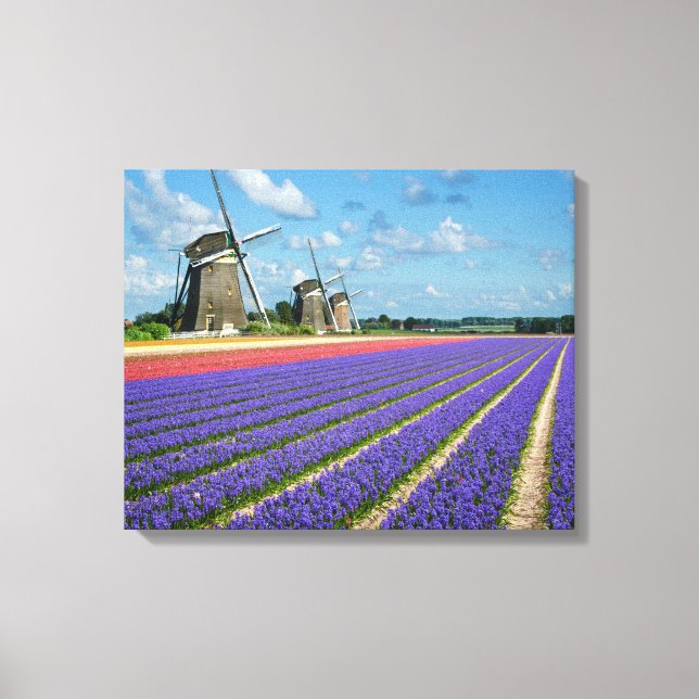 Leinwand für Blume und Windmühlen (Vorderseite)