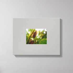 Leinwand für das Land suchen