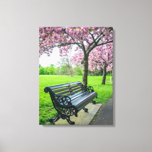 Leinwand für die Kirschblüte